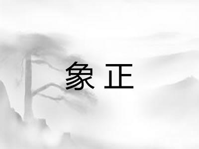 象正