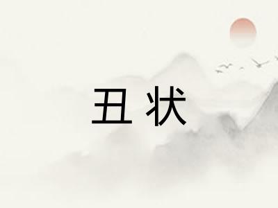 丑状 丑状