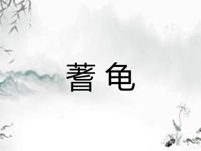 蓍龟 蓍龟