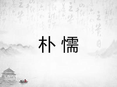 朴懦