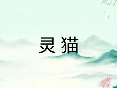 灵猫 灵猫