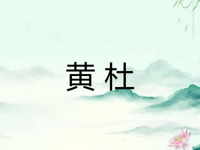 黄杜 黄杜