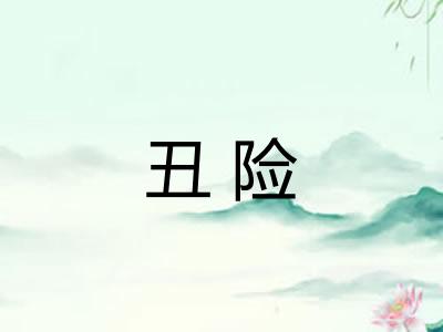 丑险 丑险