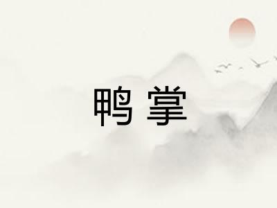 鸭掌 鸭掌