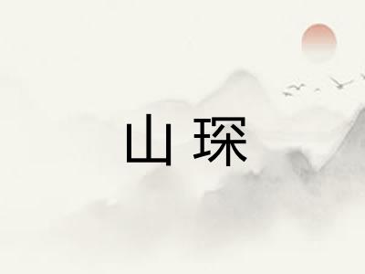 山琛 山琛
