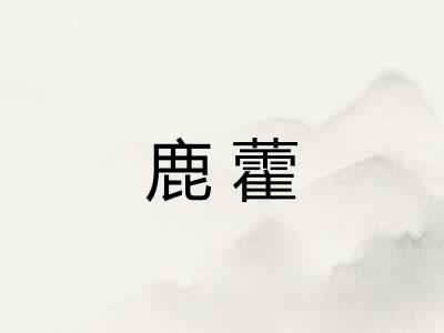 鹿藿 鹿藿