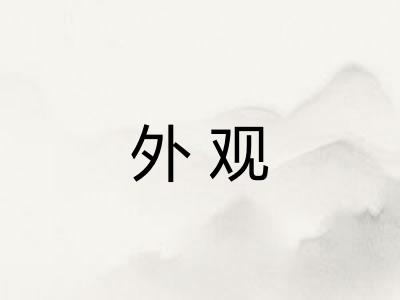 外观 外观