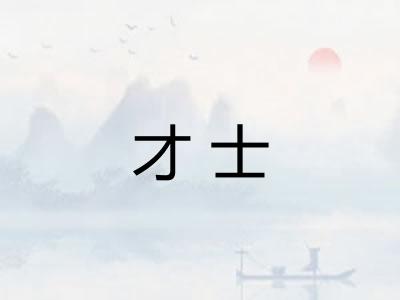 才士 才士