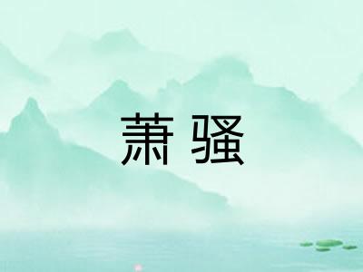 萧骚 萧骚
