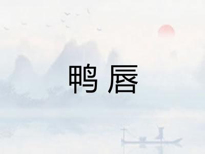 鸭唇 鸭唇