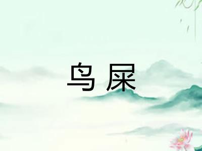 鸟屎 鸟屎