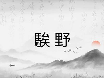騃野 騃野