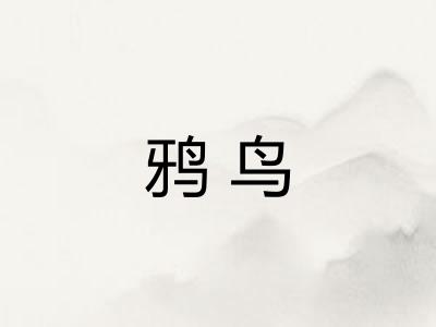 鸦鸟 鸦鸟