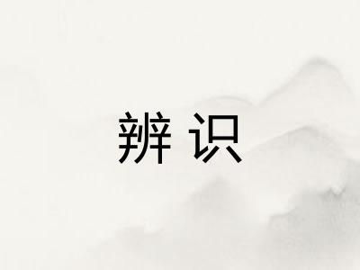 辨识 辨识