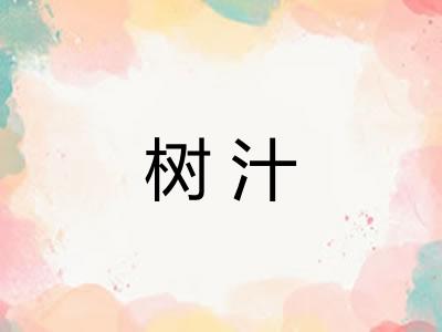 树汁 树汁