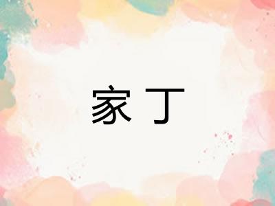 家丁 家丁