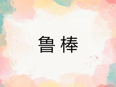 鲁棒 鲁棒