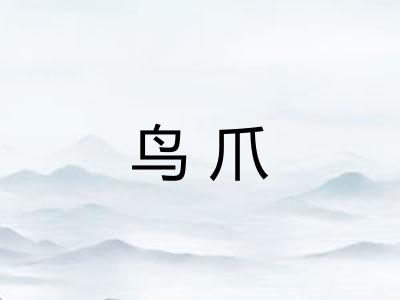 鸟爪 鸟爪