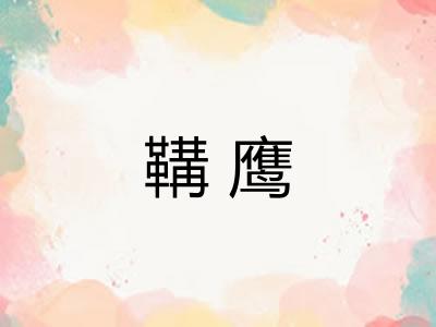鞲鹰 鞲鹰