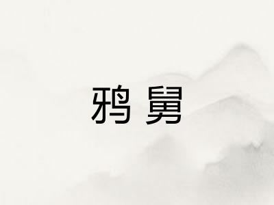 鸦舅 鸦舅