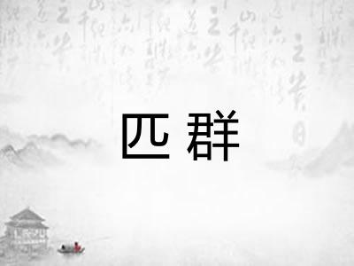 匹群 匹群