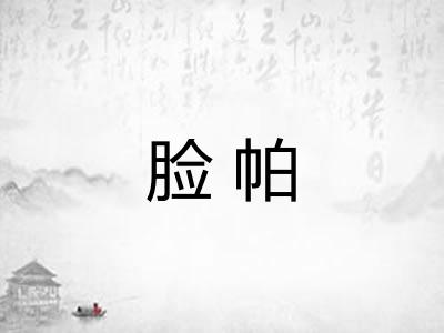 脸帕 脸帕