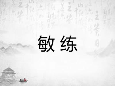 敏练 敏练
