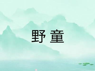 野童 野童