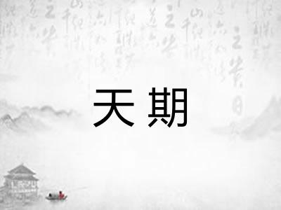 天期 天期