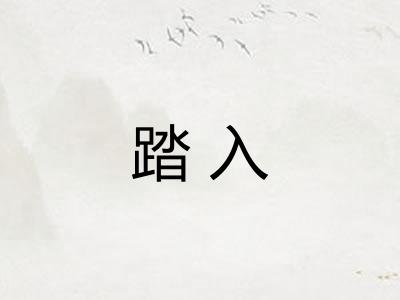 踏入 踏入