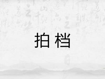 拍档 拍档