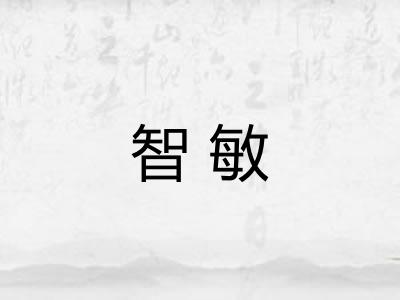 智敏 智敏