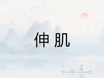 伸肌 伸肌