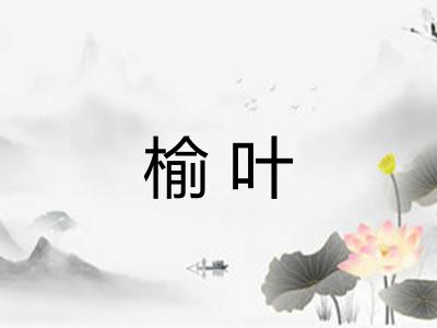 榆叶 榆叶