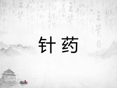 针药 针药