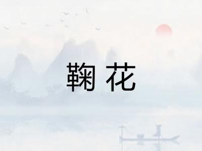 鞠花 鞠花
