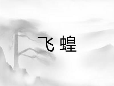 飞蝗 飞蝗