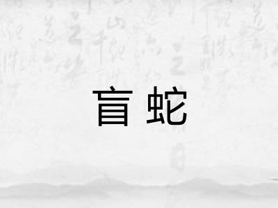 盲蛇 盲蛇