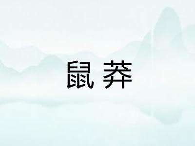 鼠莽 鼠莽