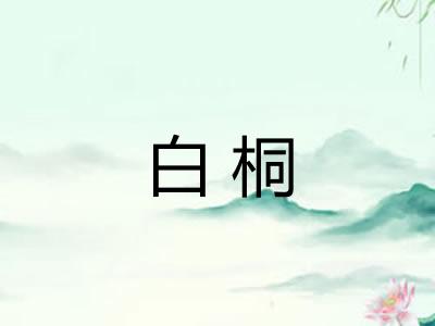 白桐 白桐
