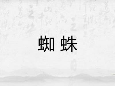 蜘蛛 蜘蛛
