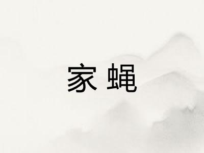 家蝇 家蝇