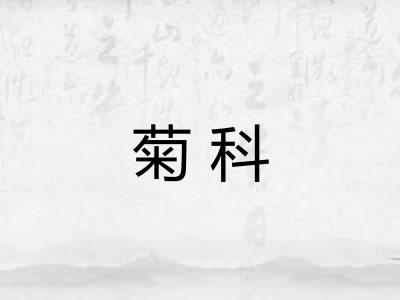 菊科