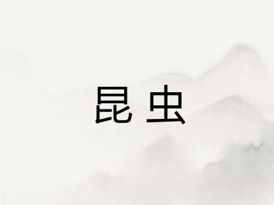 昆虫 昆虫