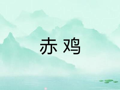 赤鸡 赤鸡