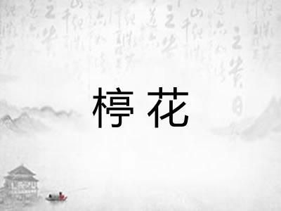楟花 楟花