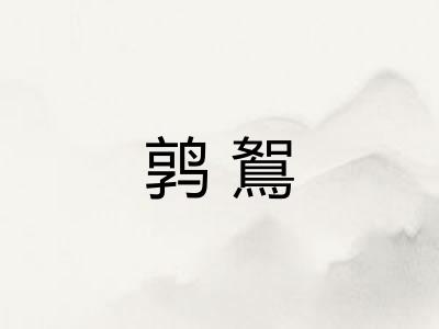 鹑鴽 鹑鴽