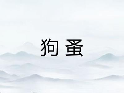 狗蚤 狗蚤