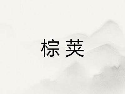 棕荚 棕荚