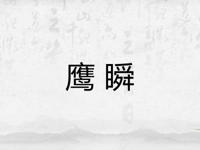 鹰瞬 鹰瞬